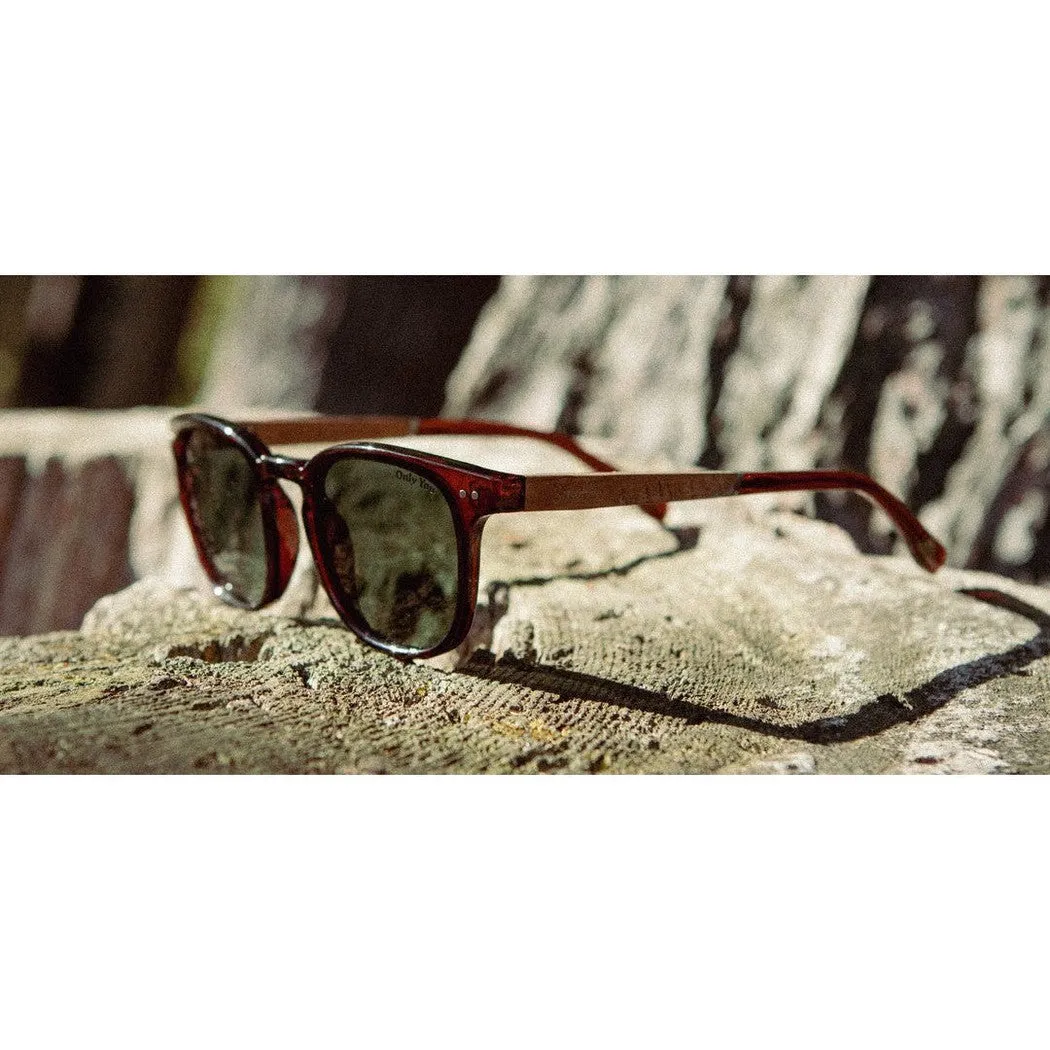 Camp Eyewear Topo - Smokey Bear