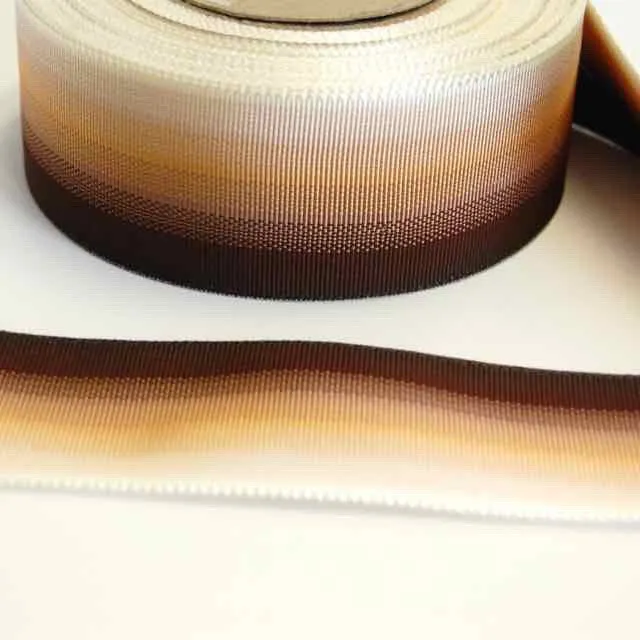 Ombre Grosgrain Ribbon - Vintage