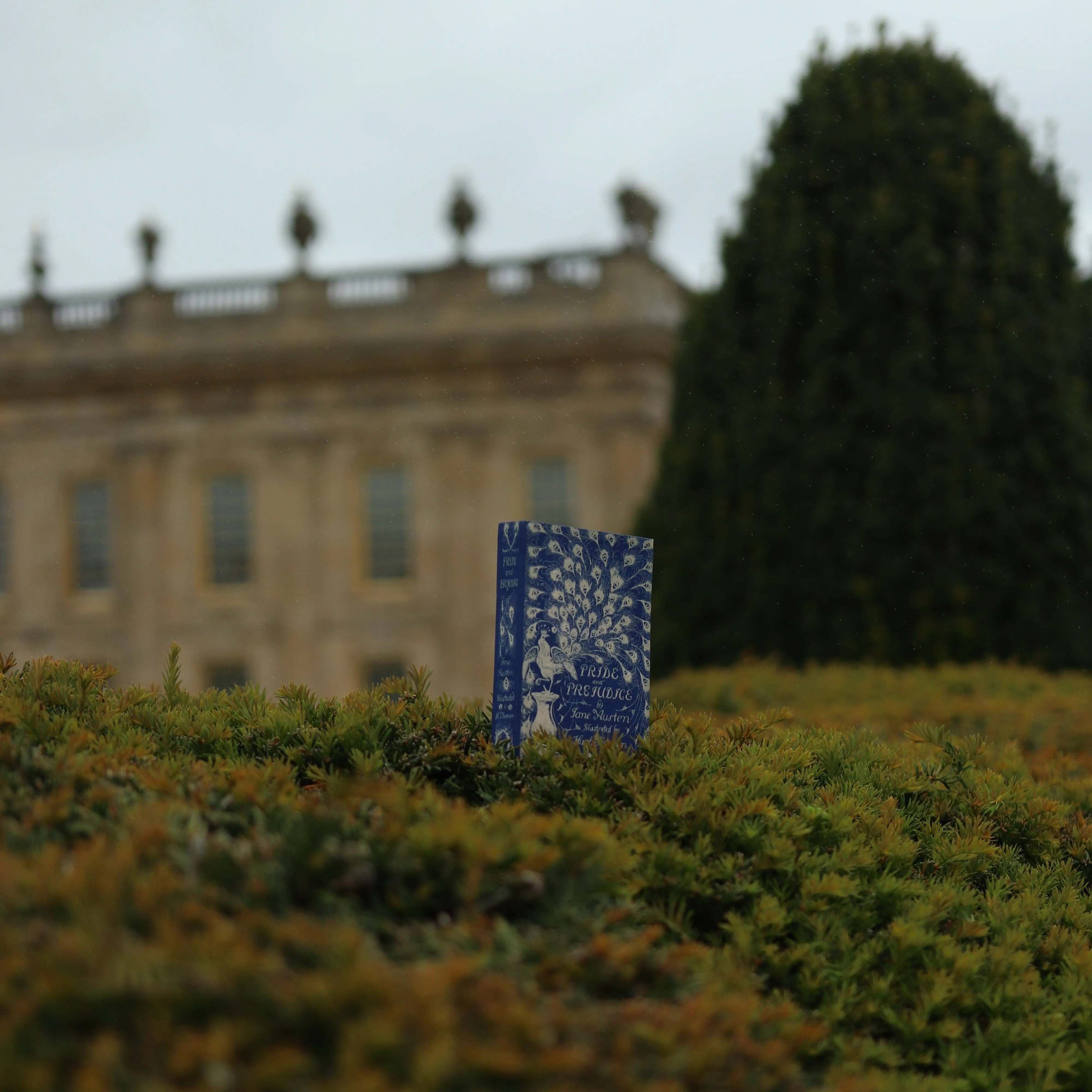 Pride & Prejudice {Peacock} Passport/Notebook Wallet | Jane Austen 1813