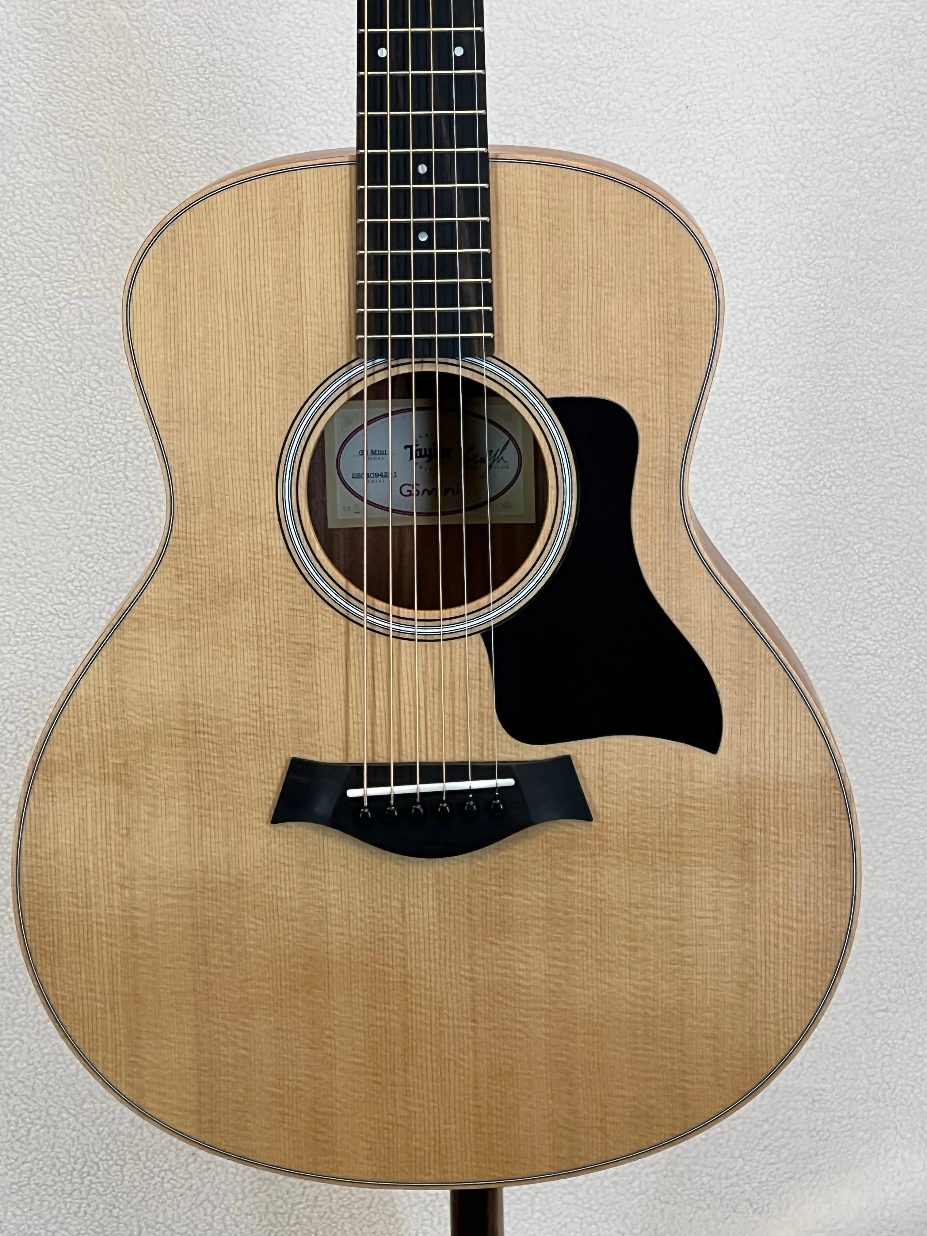 Taylor GS Mini Sapele SN:2204094211