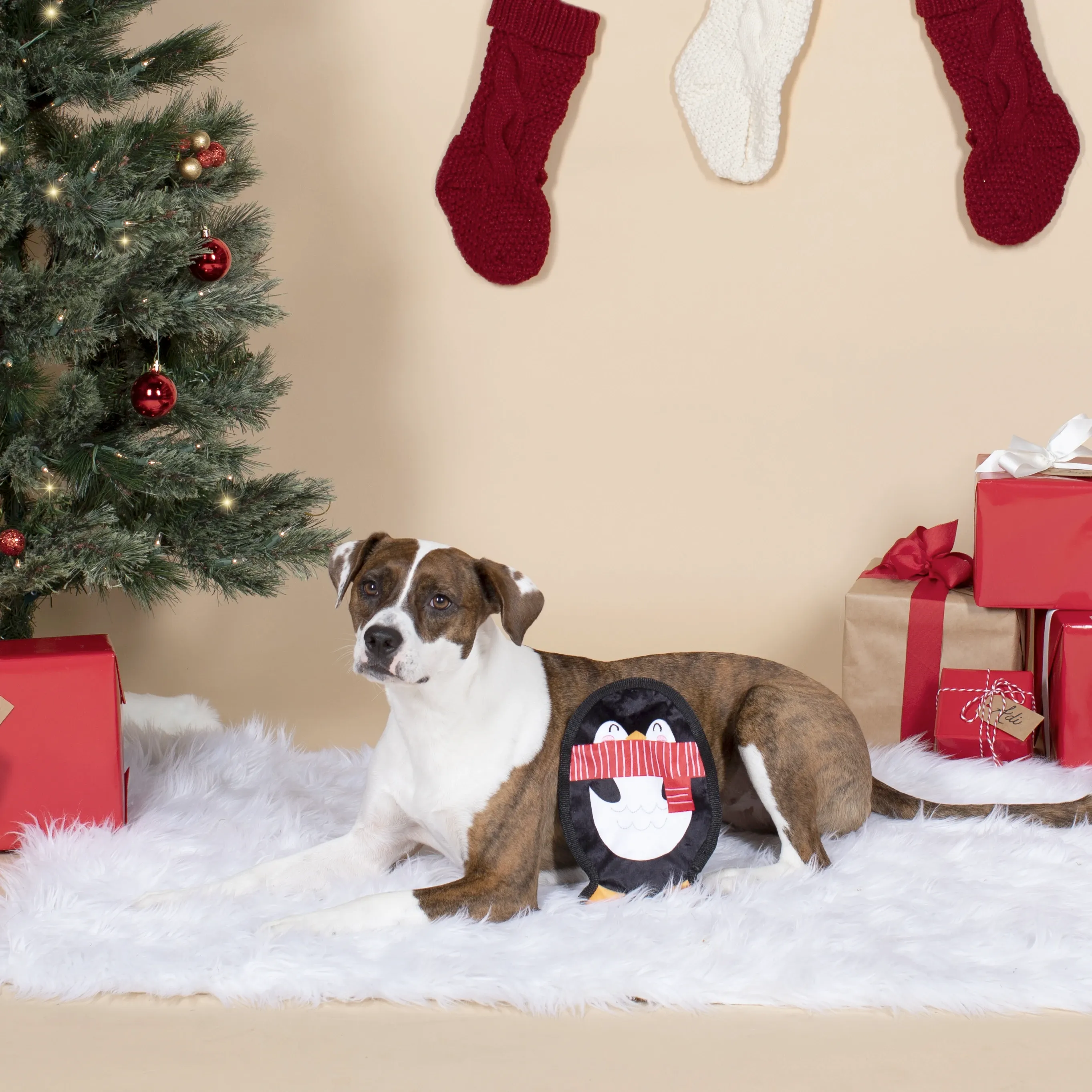 UnStuffed Holiday Penguin, Dog Squeaky Plush toy